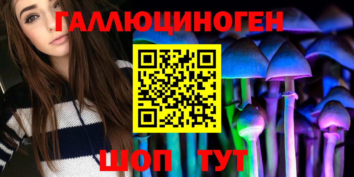 Томск  Псилоцибиновые грибы Psilocybe  Вход с VPN 