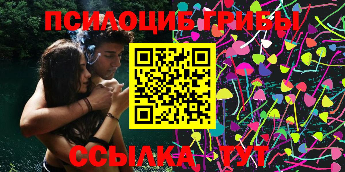 Галлюциногенные грибы Psilocybine cubensis Томск